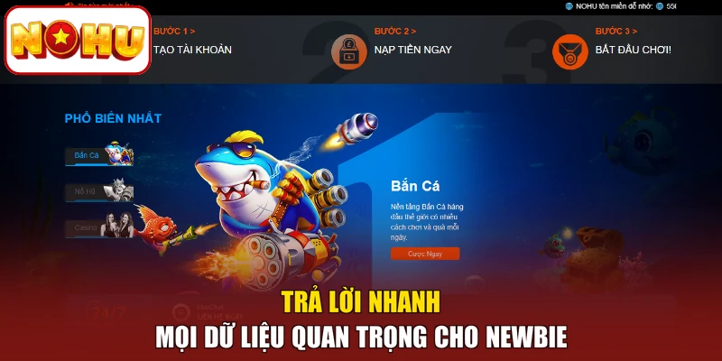 Trả lời nhanh mọi dữ liệu quan trọng cho newbie